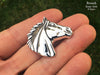 Horse Head Brooch in hand