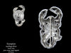 Scorpion Lapel Pin or Scorpion Brooch Sterling Silver