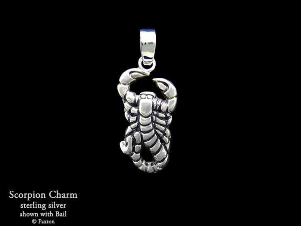 Scorpion store charm necklace
