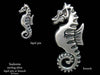 Seahorse Lapel Pin Brooch sterling silver