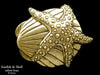 Starfish Shell Belt Buckle yellow brass