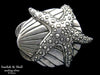 Starfish Shell Belt Buckle sterling silver